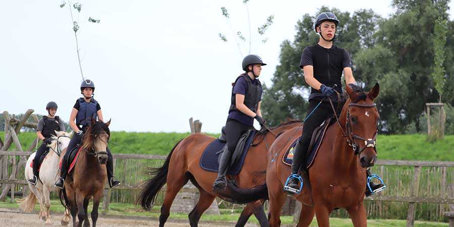 Ponykampen De Boerekreek Ponykampen De Boerekreek