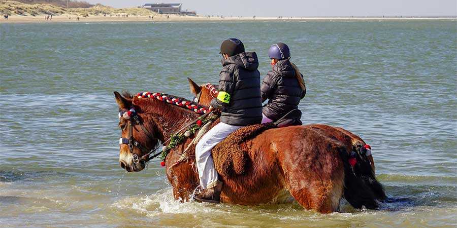 Tips4Trips Renesse Shouwen Duiveland Tips4Trips Renesse Shouwen Duiveland